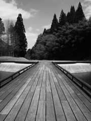 晴れ舞台へ　～Murou Art Forest～