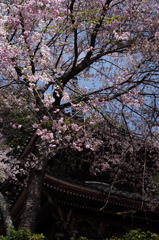 如意輪寺