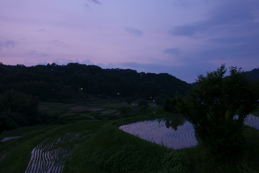稲淵の棚田 Ⅱ