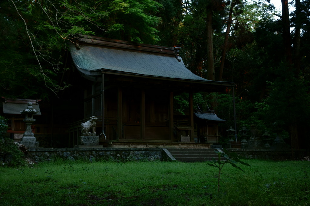 飛鳥川上坐宇須多伎比売命神社 Ⅱ