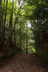 春日山道