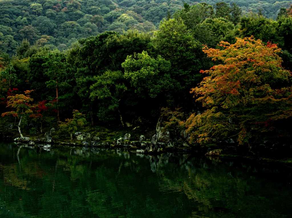 天龍寺 Ⅱ