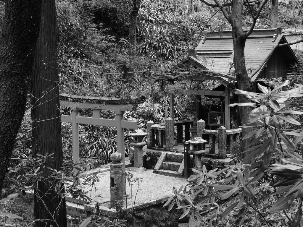 隠れ社　～岡寺～