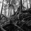 山の構成要素