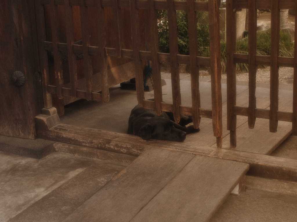 ならまちにて　Ⅴ　～待ち侘びて～