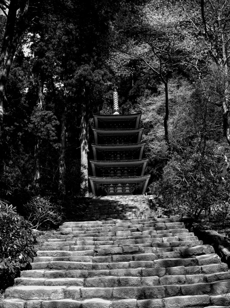 五重塔　其の弐　～室生寺～