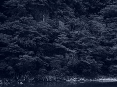 香落渓山水図
