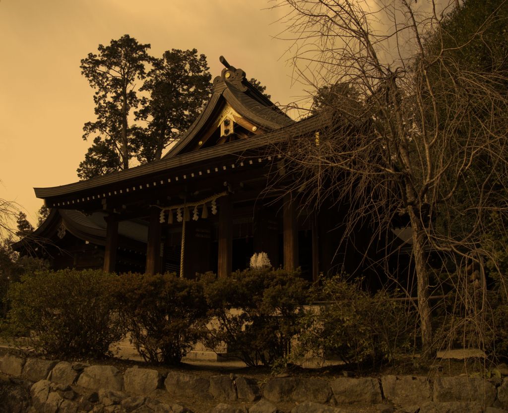 本殿　～飛鳥坐神社～