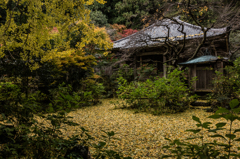 戒長寺 Ⅲ