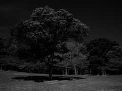 公園の主 ～二上山ふるさと公園～