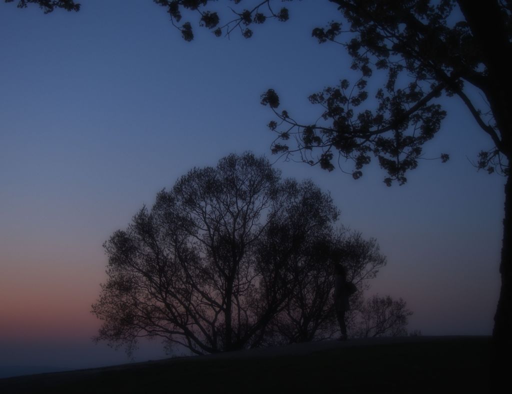 黄昏