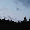木々の影景