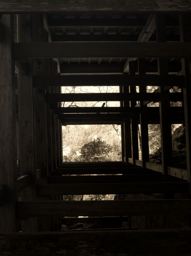 枠