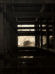 枠