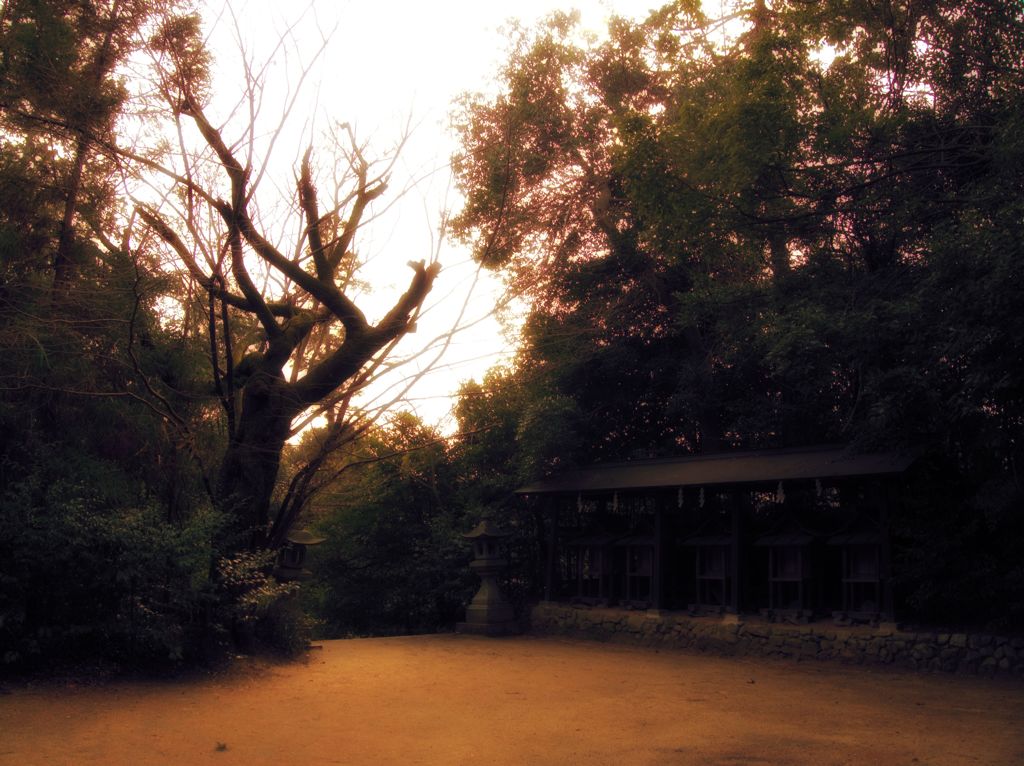 夢か現か　～飛鳥坐神社～