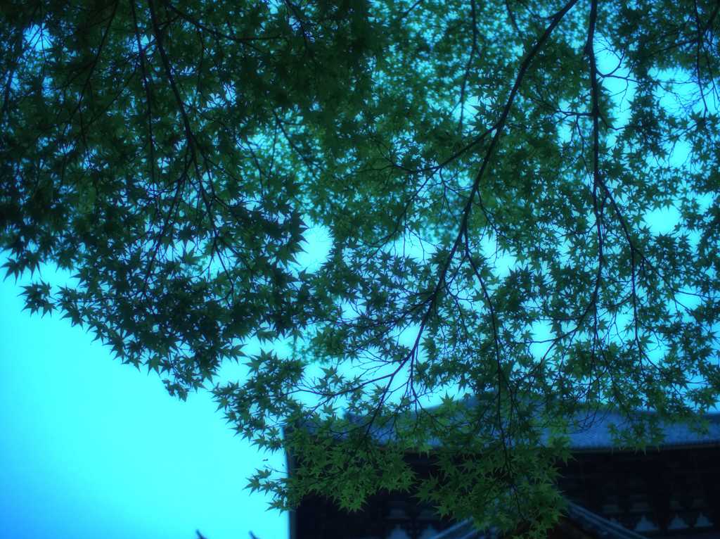 古都が優しく包む