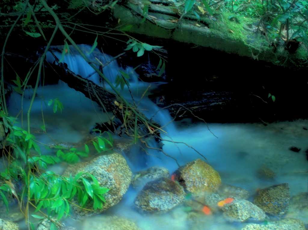 慎ましやかな水流