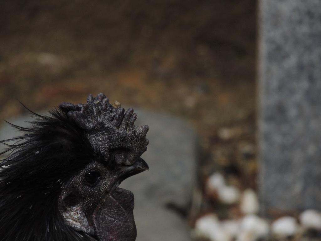 横顔（黒バージョン）