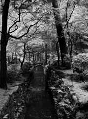 遠小橋 ～霊山寺～