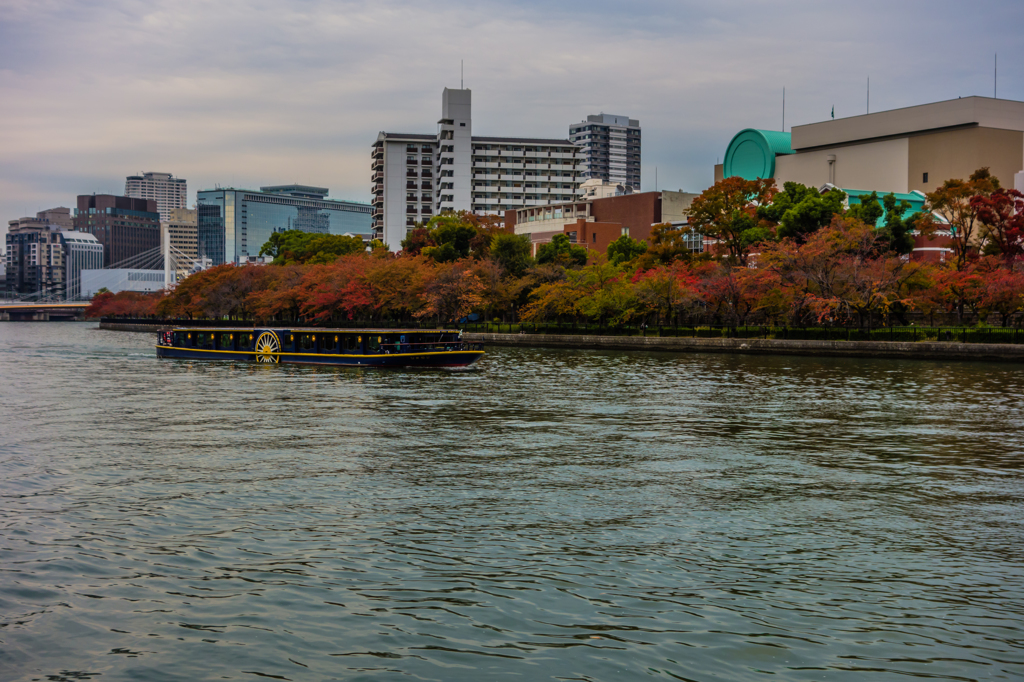 桜宮巡写録 Ⅸ