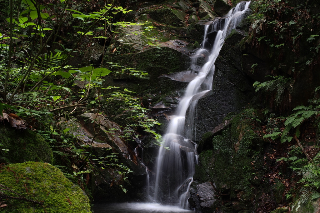 鶯の滝