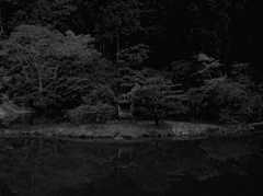 浄土の庭園　其の四　～浄瑠璃寺～
