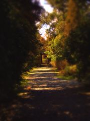 門へと至る道　～海龍王寺～