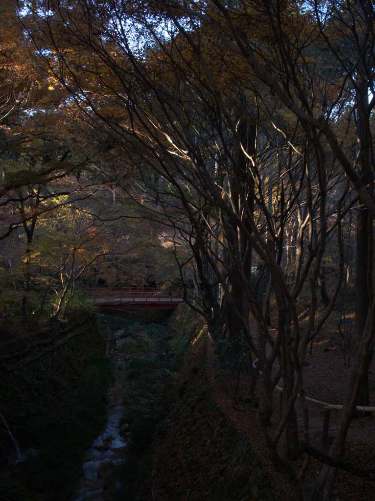 三千院回遊録 Ⅱ