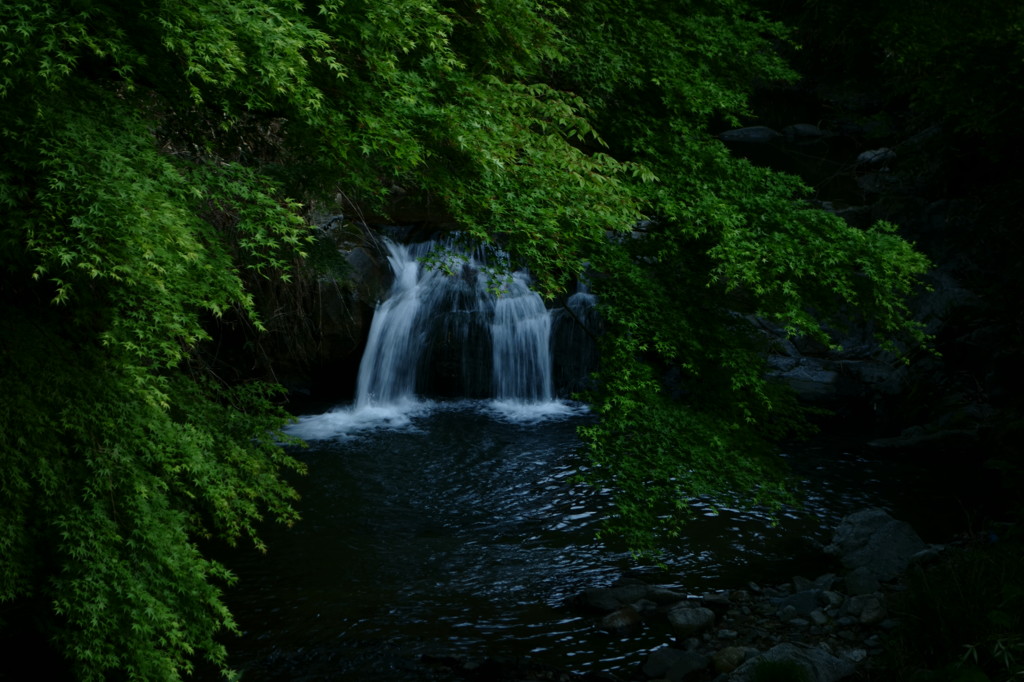 流れ落つ飛鳥川