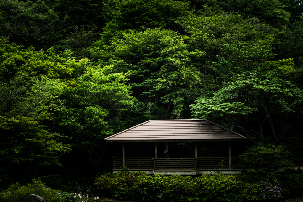 REST HOUSE