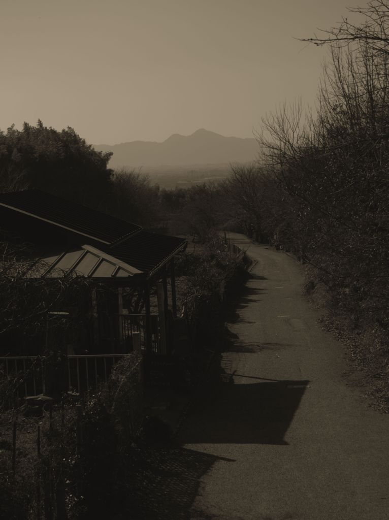 この道は、二上山へと至るのか