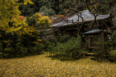 戒長寺
