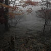霞紅葉 Ⅳ