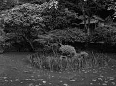 庭園　～岩船寺～