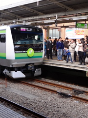 お披露目