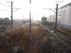 朝もや
