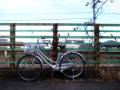 自転車