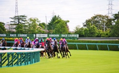 阪神競馬場