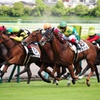 阪神競馬場