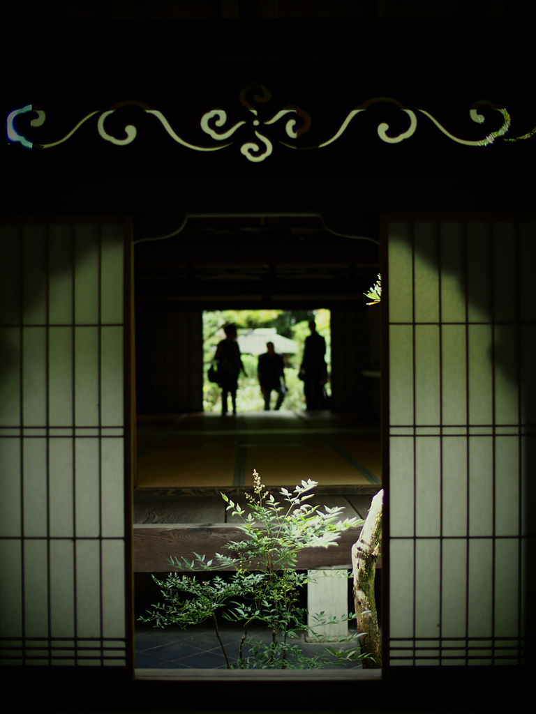 大徳寺　高桐院