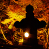 清水寺ライトアップ