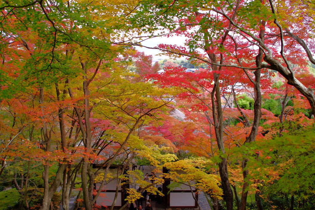 常寂光寺 -参門-