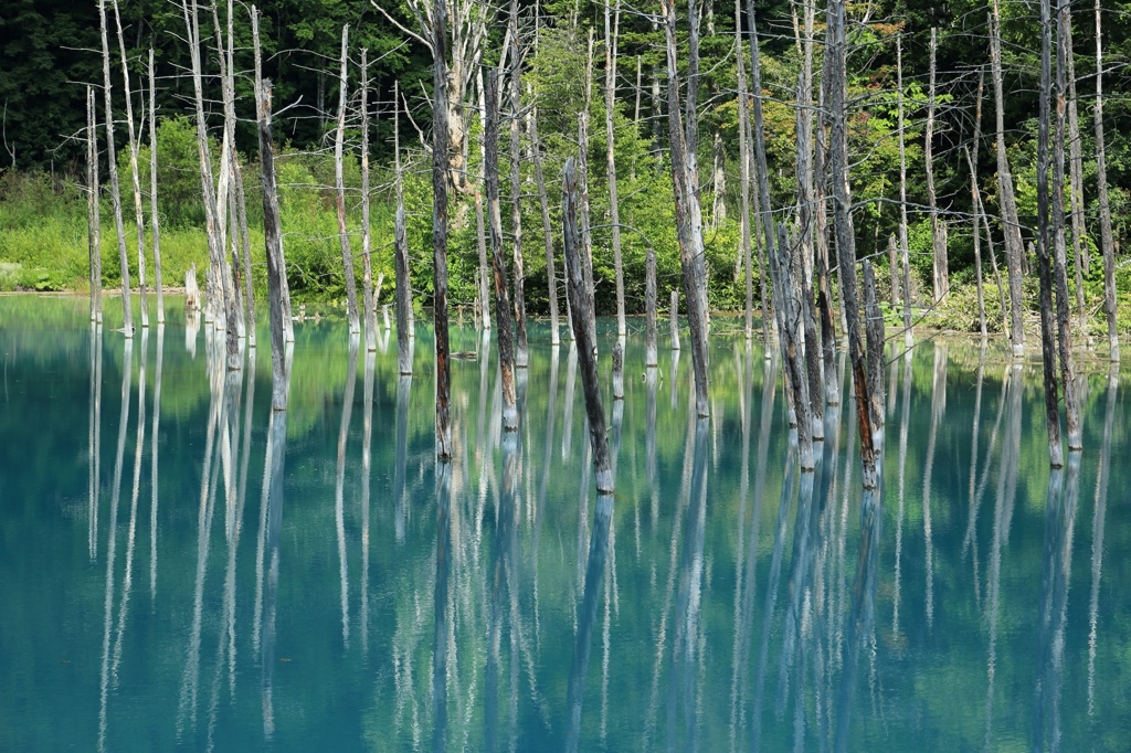 蒼い池