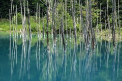 蒼い池
