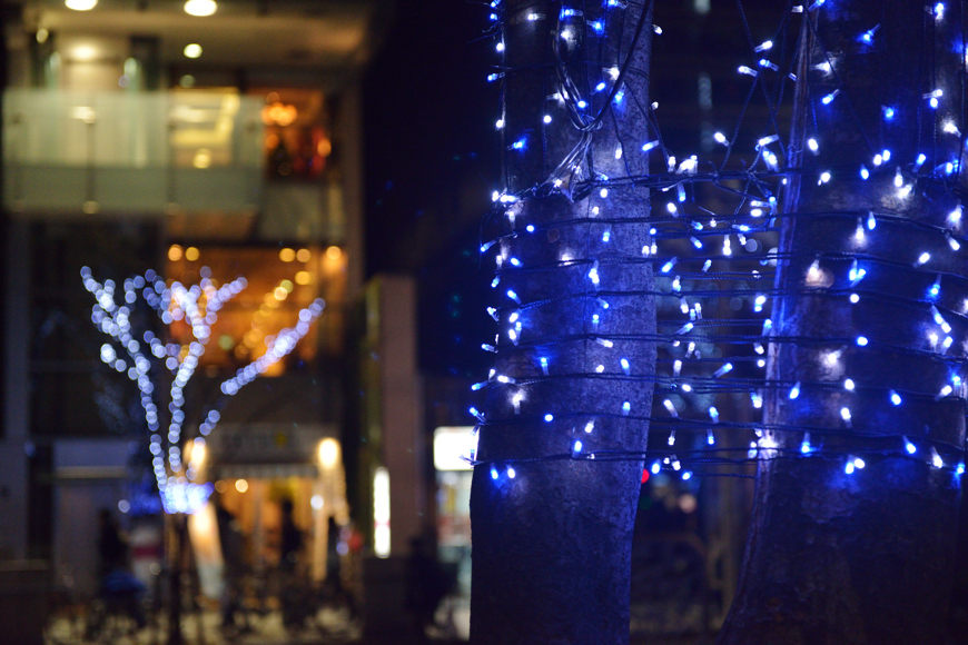 １２月の夜
