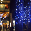 １２月の夜