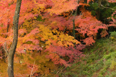 秋の風景