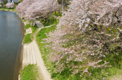 河岸