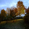 DSCF2207