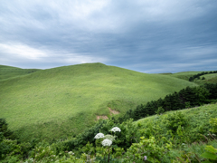 礼文島トレイル